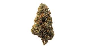 Gelato  | Hyrbird | 21% thc