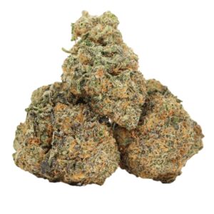 Sativa