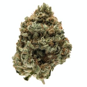Kosher Kush | Indica | 21% thc
