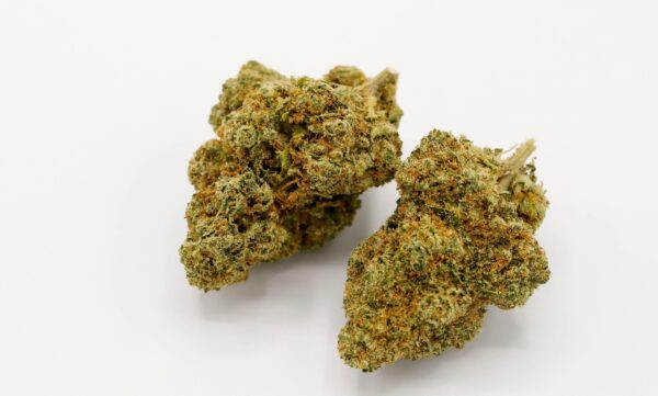Lemon Kush | Hyrbird | 22% thc