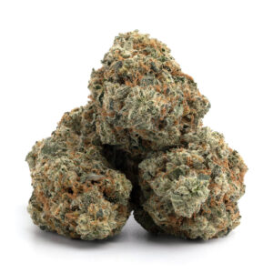 Indica