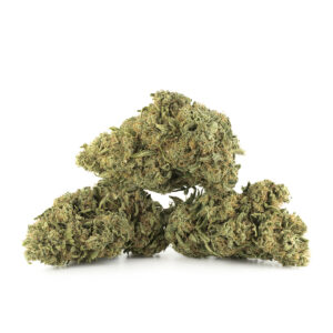 Indica
