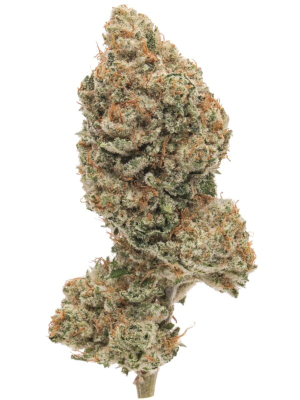 The White | Hyrbird | 23% thc