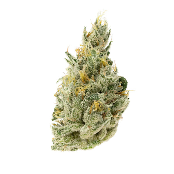 Alien OG | Indica | 22% thc