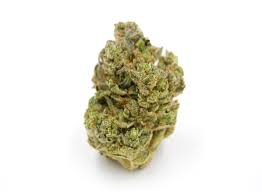Gorilla glue | Hyrbird | 23% thc