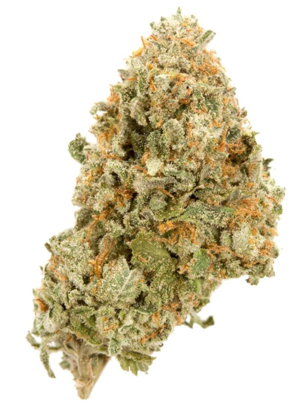 Lemon Cookie Gelato | Sativa