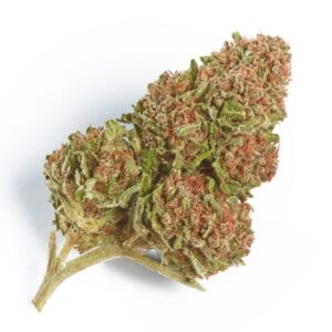 Northern Lights | Indica | 21% thc