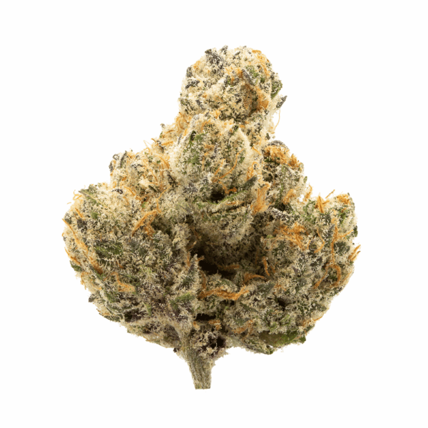 Thai | Sativa | 22% thc